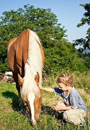 Zbierajte huby, lesné plody alebo jednoducho zážitky. 